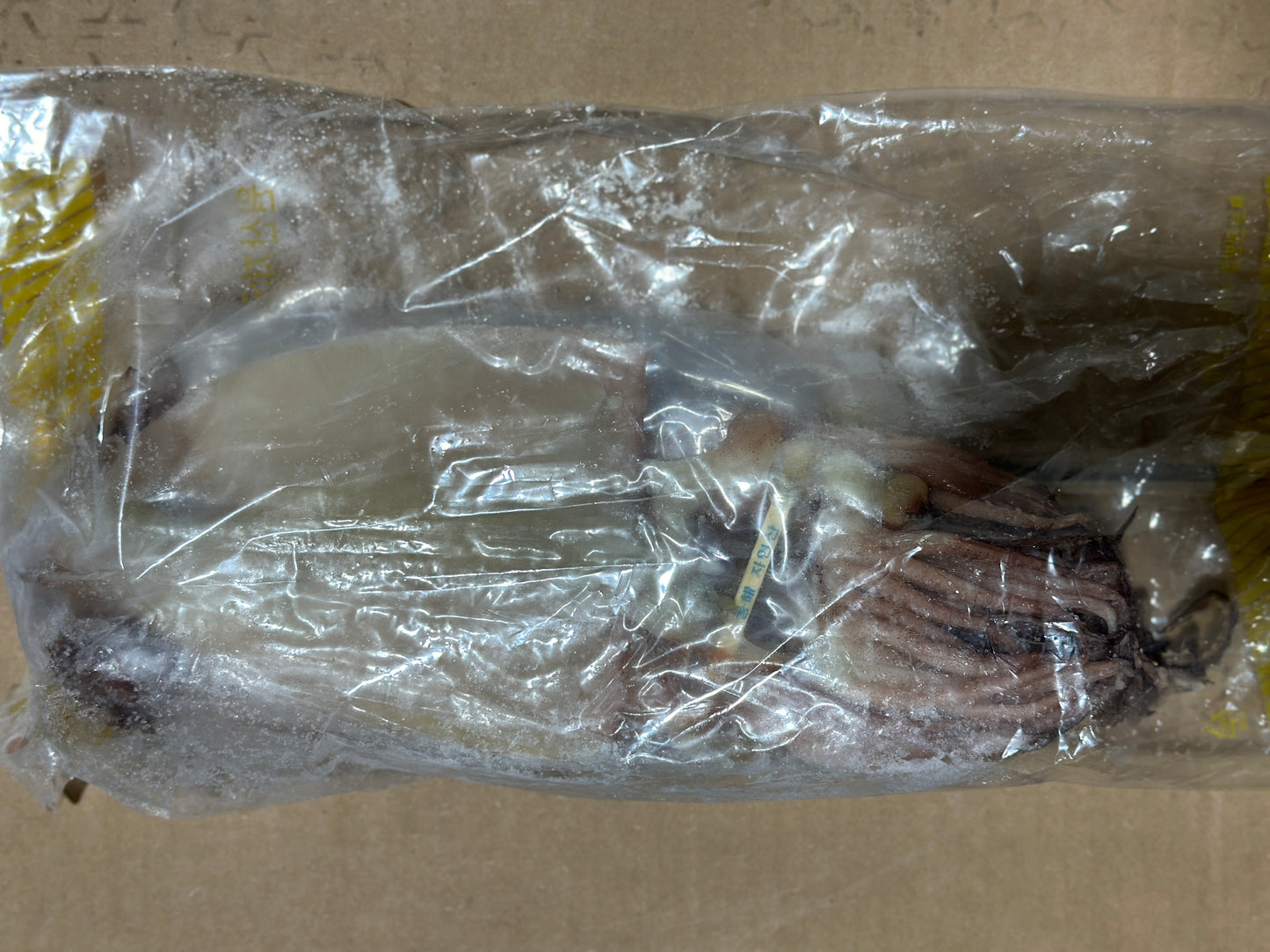 냉동 반건조 오징어 1팩당 10마리 HALF DRY CUTTLE FISH