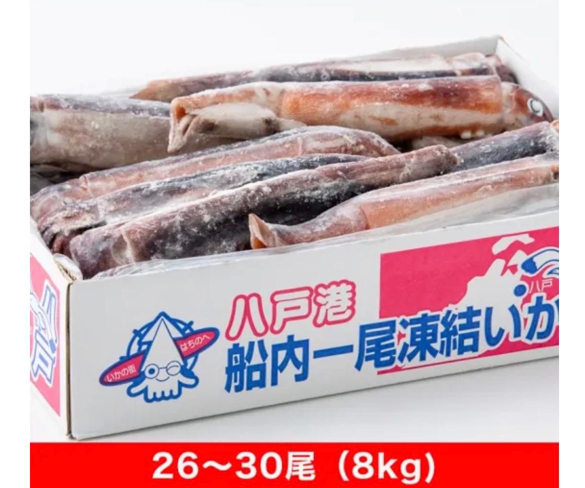 [BOX] 냉동 오징어 FROZEN SQUID 8KG