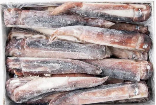 [BOX] 냉동 오징어 FROZEN SQUID 8KG