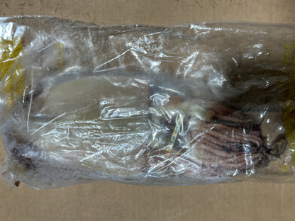 냉동 반건조 오징어 1팩당 10마리 HALF DRY CUTTLE FISH