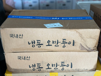 [BOX] 냉동 오만둥이 WARTY SEA SQUIRT 10KG