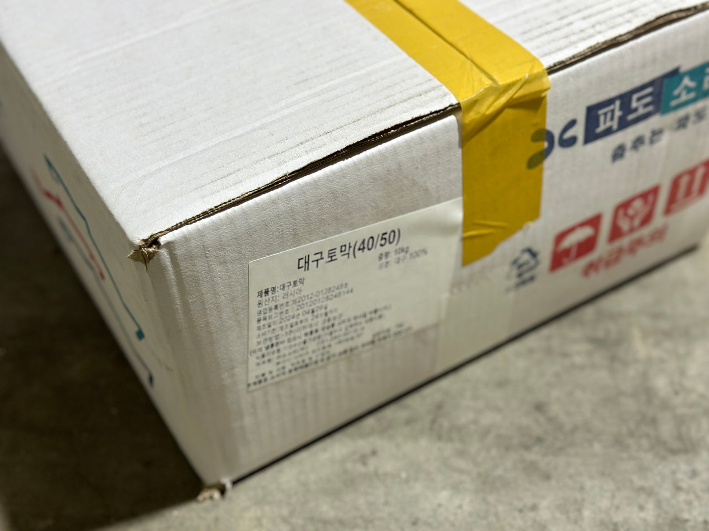 [BOX] 절단 대구 12키로